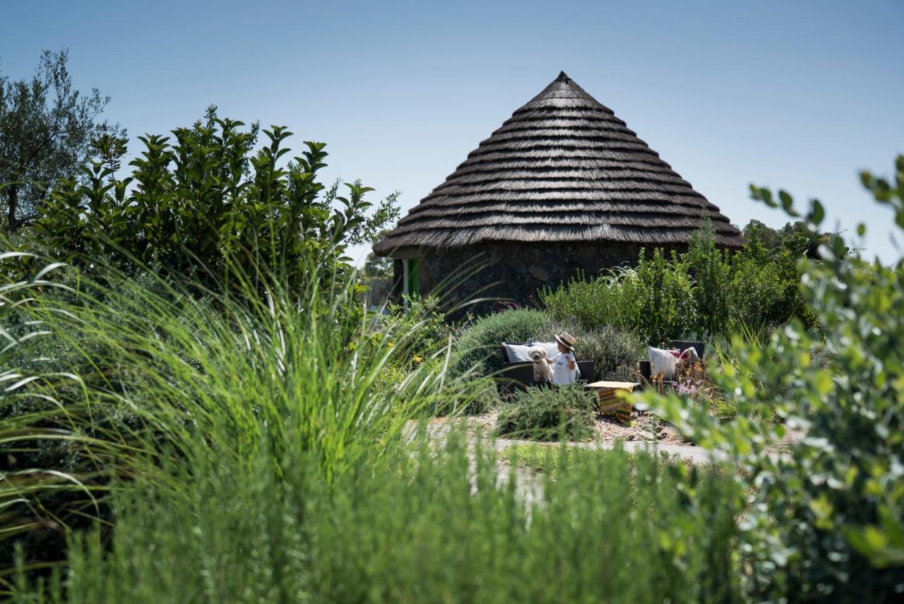 Is Cheas Wine Farm Boutique Hotel San Vero Milis Bagian luar foto