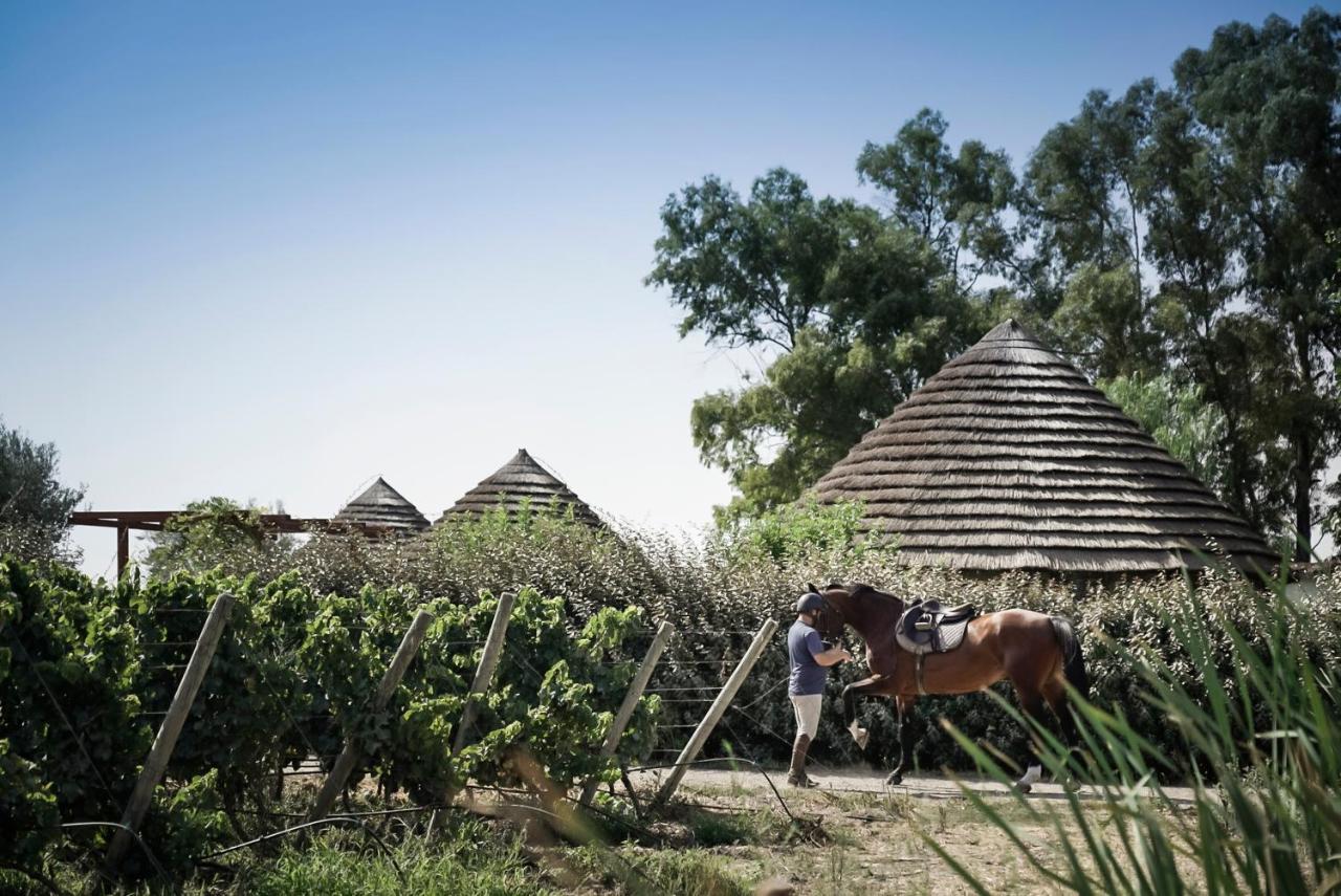 Is Cheas Wine Farm Boutique Hotel San Vero Milis Bagian luar foto