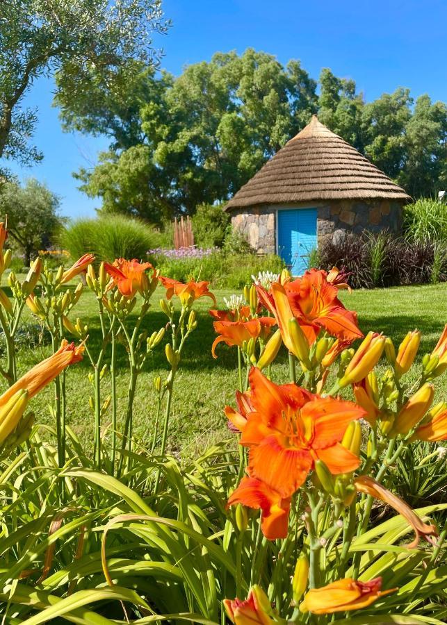 Is Cheas Wine Farm Boutique Hotel San Vero Milis Bagian luar foto