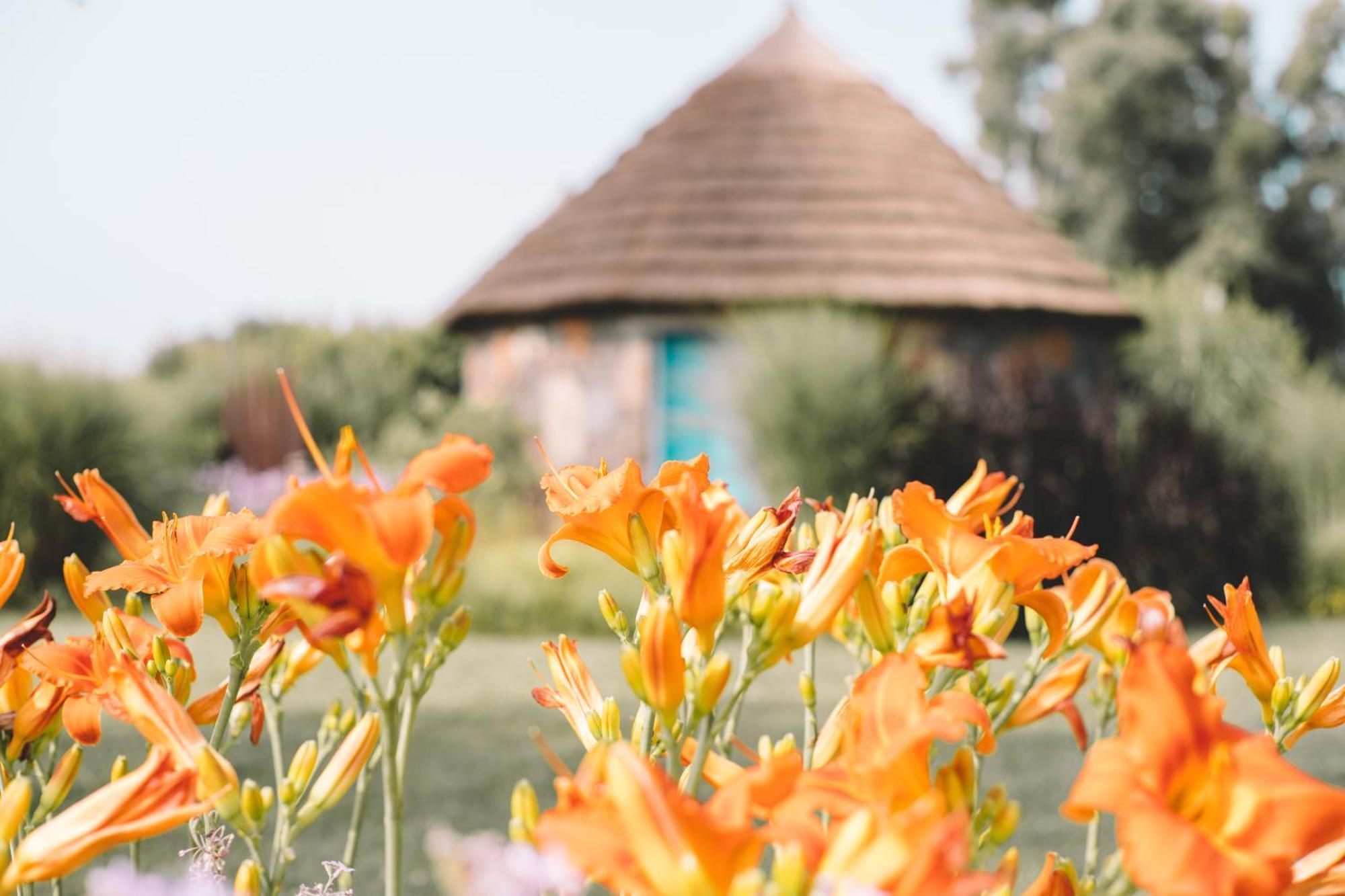 Is Cheas Wine Farm Boutique Hotel San Vero Milis Ruang foto