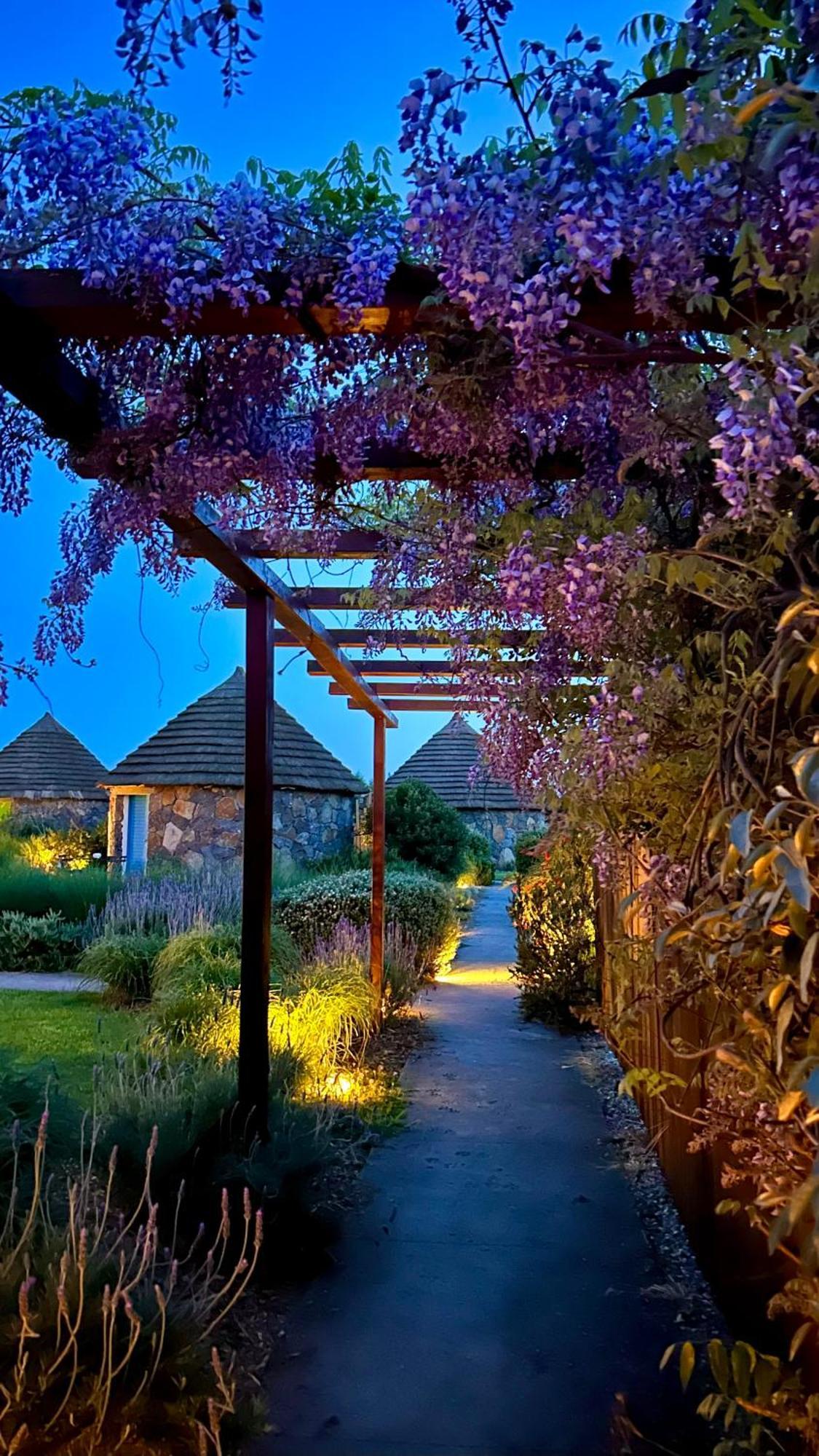 Is Cheas Wine Farm Boutique Hotel San Vero Milis Bagian luar foto