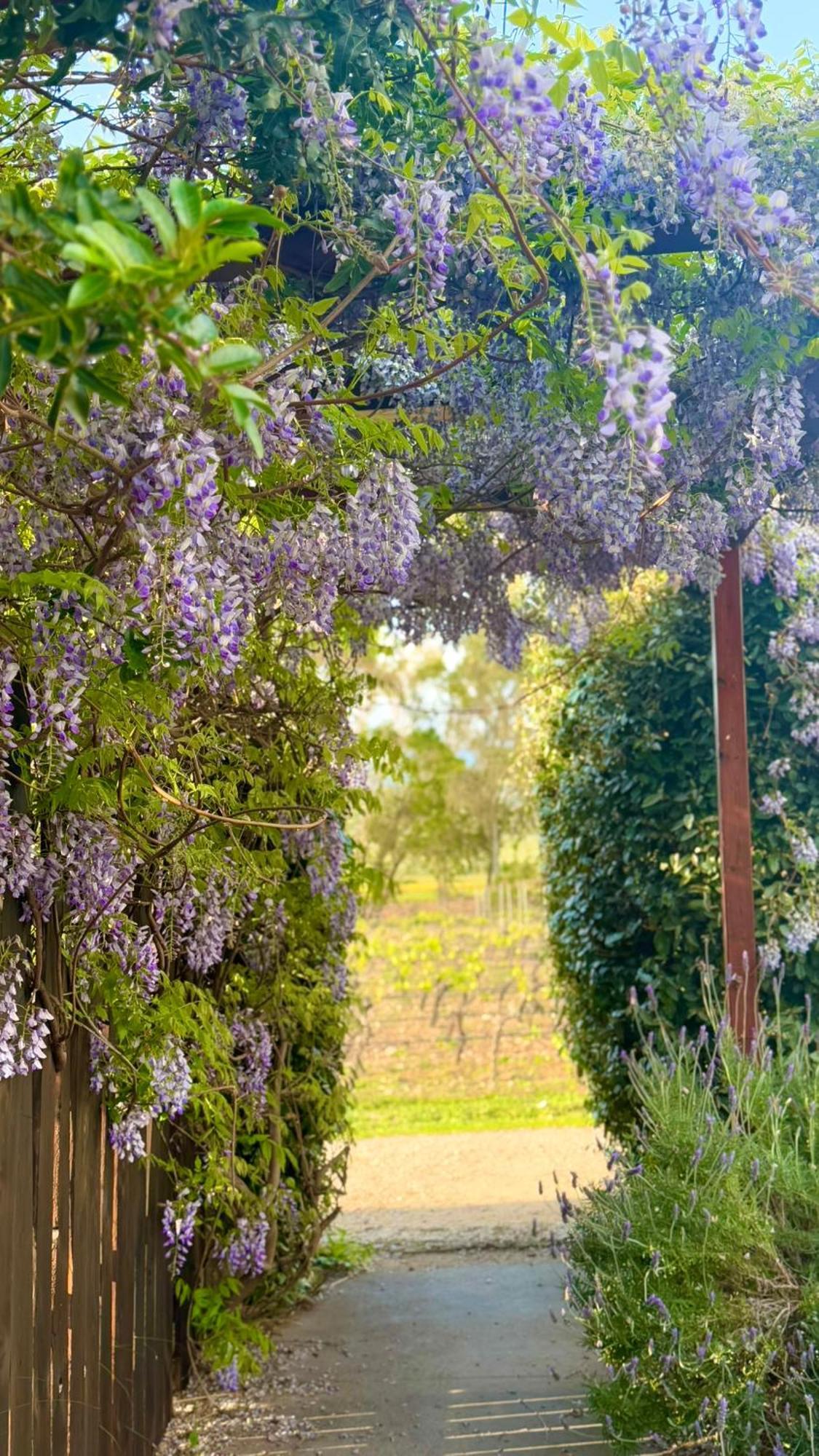 Is Cheas Wine Farm Boutique Hotel San Vero Milis Bagian luar foto